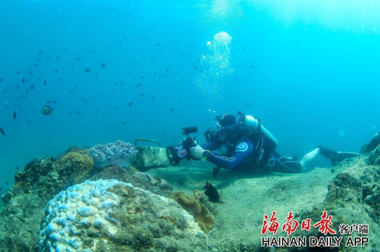 “特型演员”马少骅：“国父”形象深入人心，妻子的身份更不简单